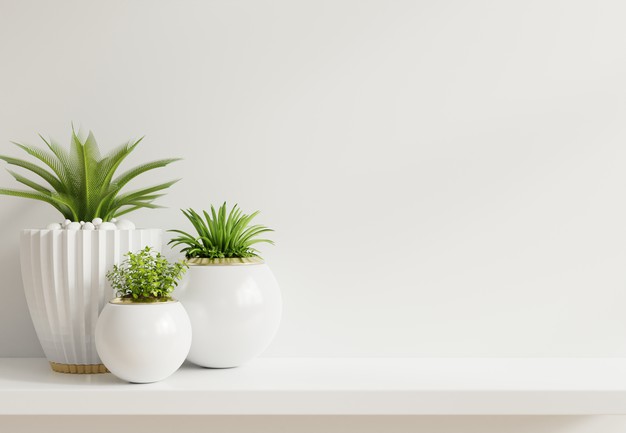 Eco-Friendly Design it is a long established fact that a reader will be distracted by the readable content of a page when looking at its layout.